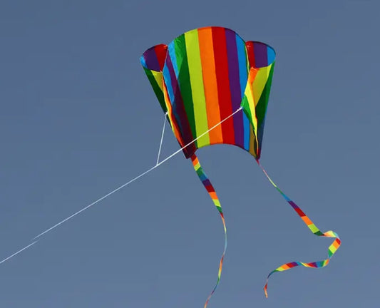 Pocket kite